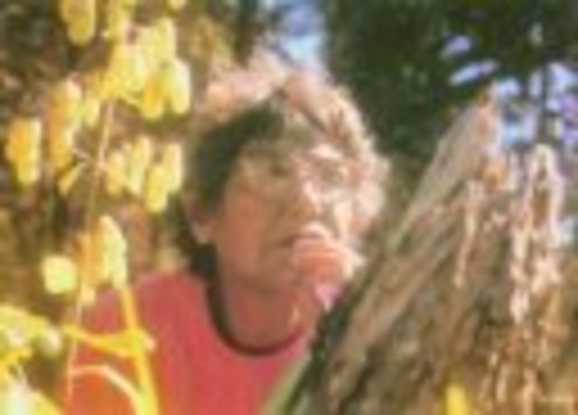 Royal Republic of Minjerribah