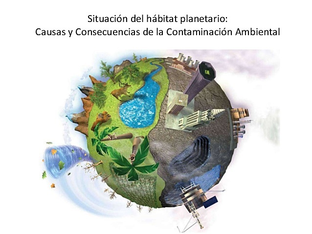 Situación Ambiental