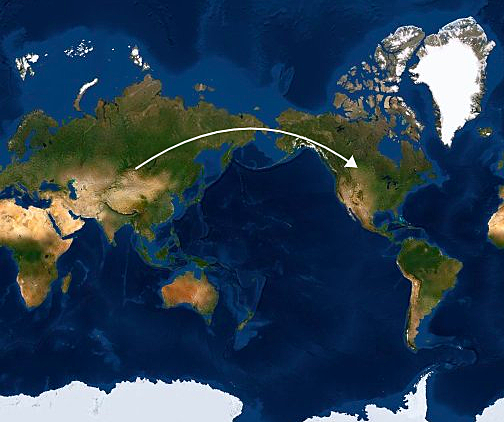 POBLAMIENTO DE AMÉRICA