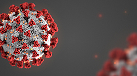 Timeline: Covid-19 in US