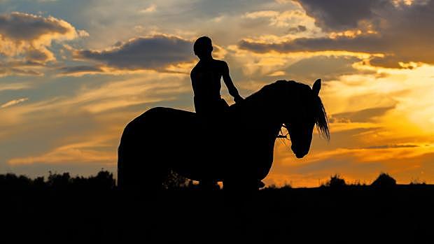 Animales como medio de transporte