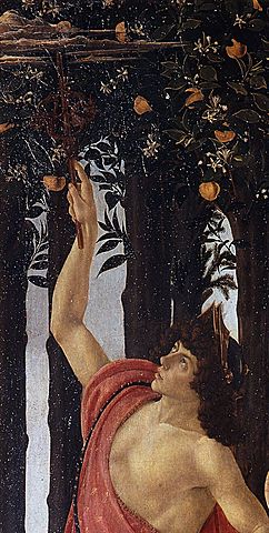 Hora de dar un paso mas grande