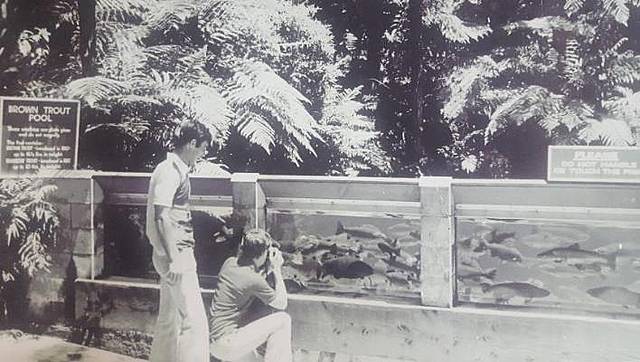 Rainbow Springs opens to public