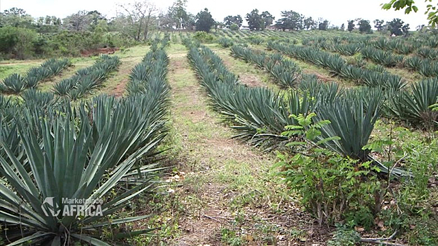 Crisis económica de 1913