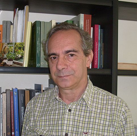 Thomas Calvo
