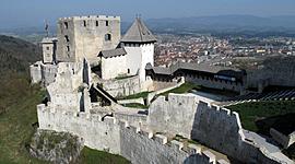 Timeline: Plemiške rodbine na Slovenskem