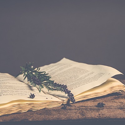 Timeline: Empoderamiento mujer literatura