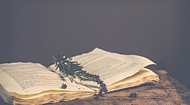 Timeline: Empoderamiento mujer literatura