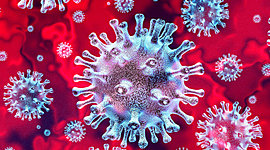 Timeline: EVOLUCIÓ CORONA VIRUS