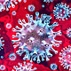 Coronavirus foto