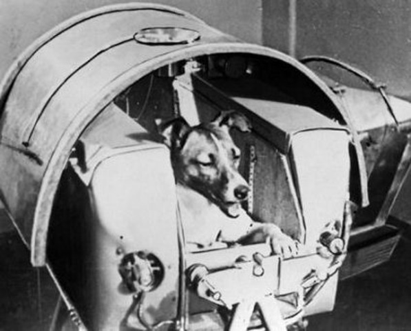 The first “Earthling”, a Soviet dog named Laika, is successfully sent into space.