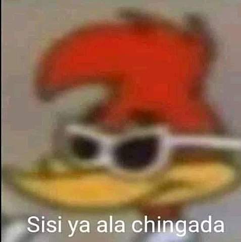 I have learned to ride a bicycle