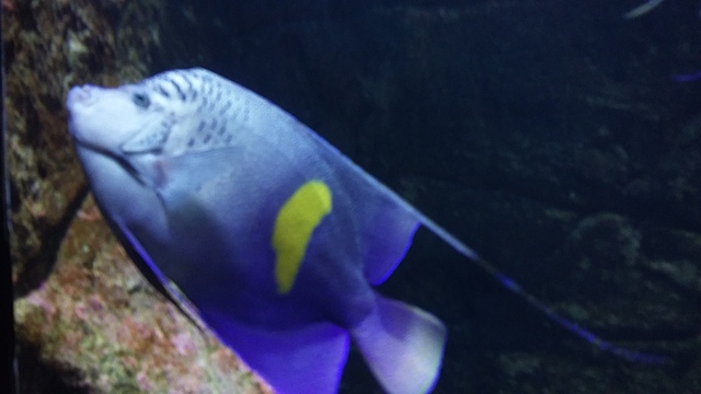 Cretan Aquarium and Knossos in Heraklion Crete