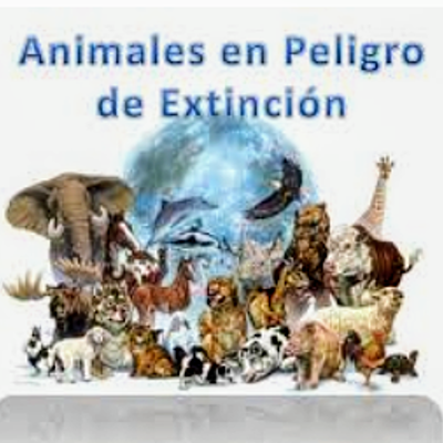 Timeline: Las extinciones masivas