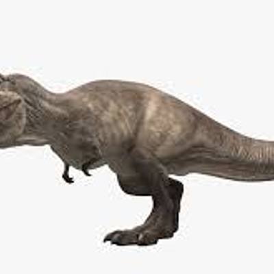 Timeline: Extinción de los animales