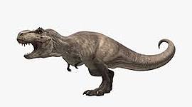 Timeline: Extinción de los animales