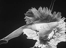 El dadaísmo en el cine