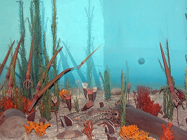 la extincion durante el ordovicico