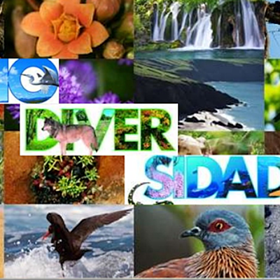 Timeline: Biodiversidad