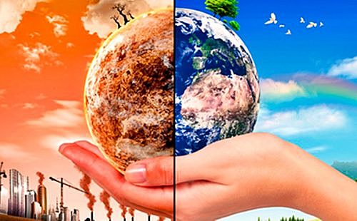 PERSPECTIVA HISTORICA DE LA BIODIVERSIDAD