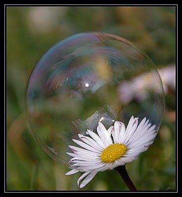 Representantes del arte efimero