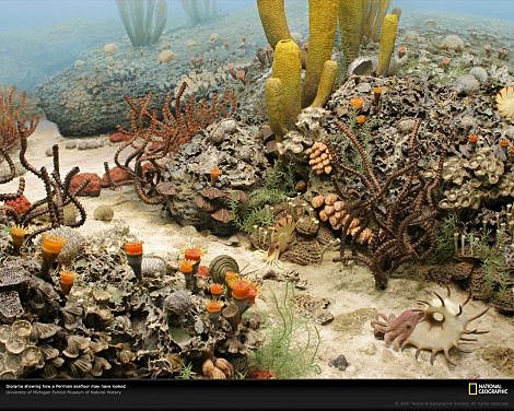 Extinción masiva del Pérmico (hace 245 millones de años)