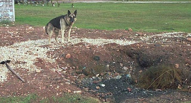 Bone Evidence Mishandle Under Review