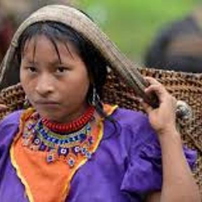 Timeline: HISTORIA DE LOS DERECHOS INDIGENAS EN COLOMBIA