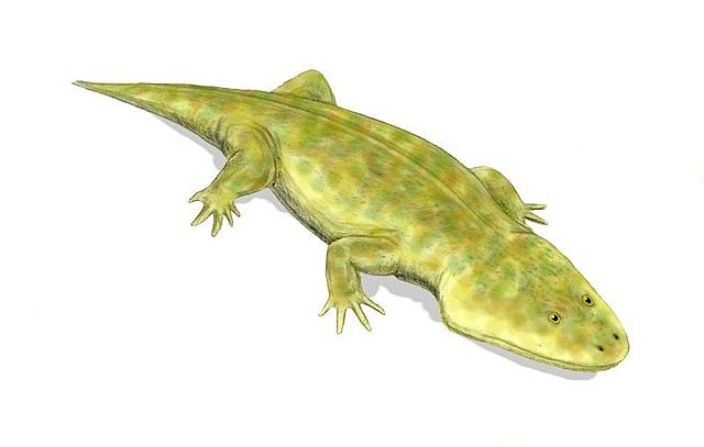 la extinción durante el triàsico