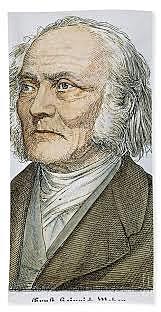 Ernst Heinrich Weber 1795 – 1878