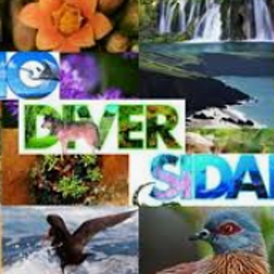 Timeline: Perspectiva de la biodiversidad.