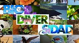 Timeline: Perspectiva de la biodiversidad.