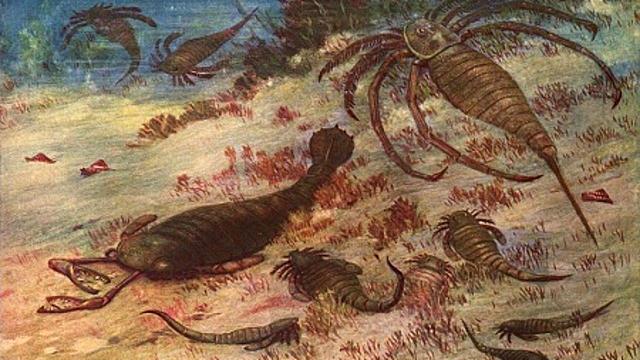 La extinción durante el Ordovícico