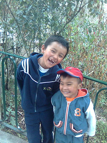 Vieje a las piedras de sopo