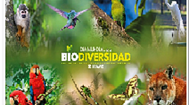Timeline: EXTINCIONES MASIVAS DE LA BIODIVERSIDAD