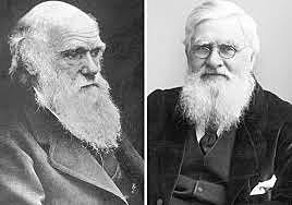 1858-1859 Darwin et Wallace la "sélection naturelle"