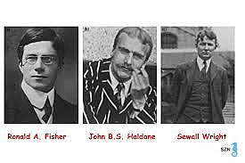1930 Fisher, Wright et Haldane la Néodarwinisme