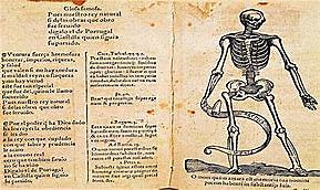 coplas a la muerte de su padre