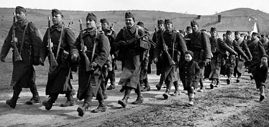 Bevonulás a Kárpátaljára