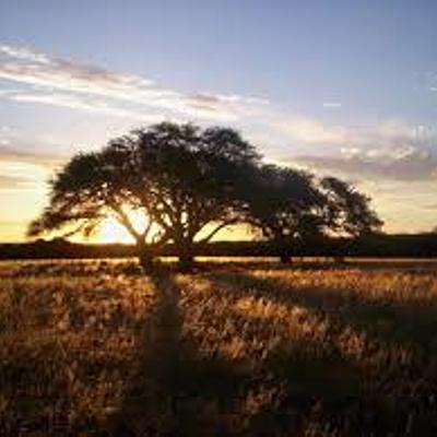 Timeline: Etapas de La Pampa