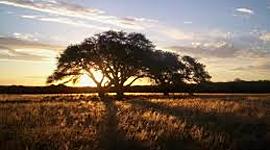 Timeline: Etapas de La Pampa