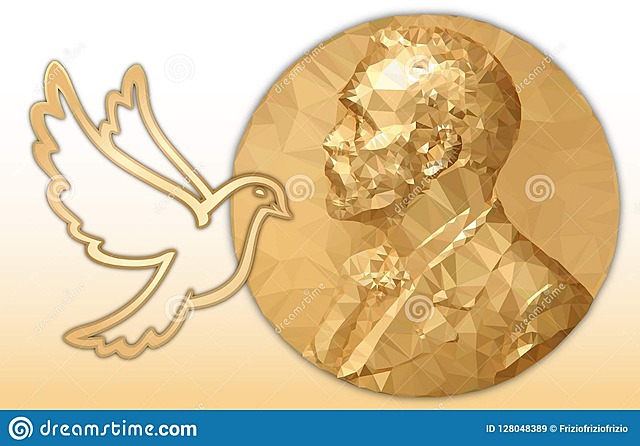 Gana Medalla de la Paz (ONU)