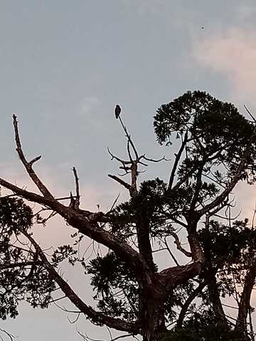 I have put aside the videogames a little