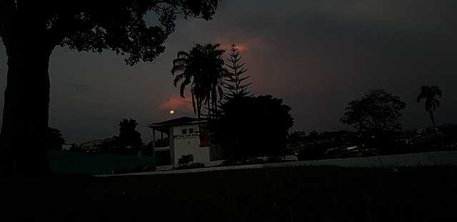 I have learned that your worst enemy is yourself