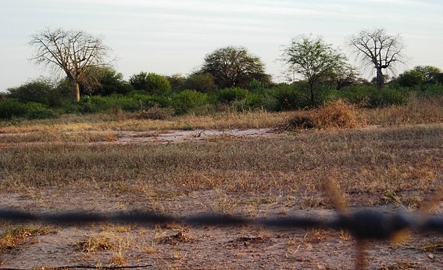 Ley de Remate Publico