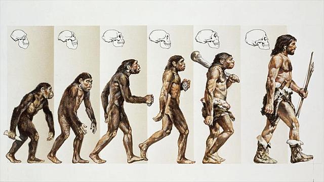 La teoria de Charles Darwin