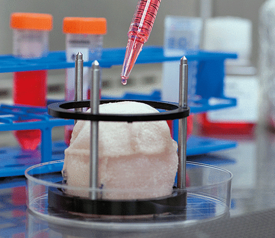 Wake Forest Institute for Regenerative Medicine