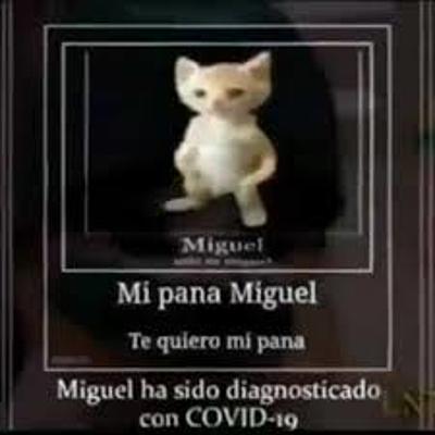 Timeline: asdasdasdasd