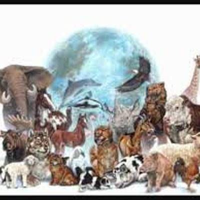 Timeline: PERSPECTIVA HISTÓRICA DE LA BIODIVERSIDAD