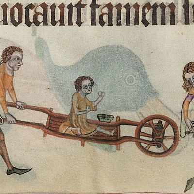 Timeline: Història i Evolució de la Diversitat